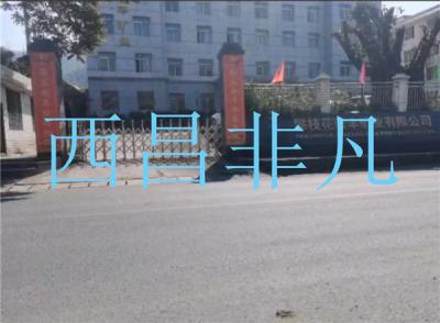 凉山彝族自治州攀枝花骏丰矿业有限公司电动伸缩门